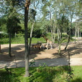 DSC00008