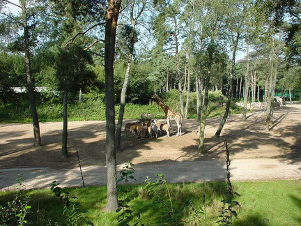 DSC00008