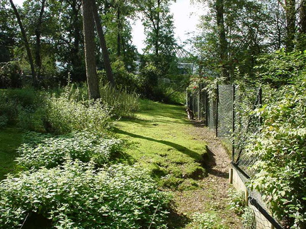 Dsc00171