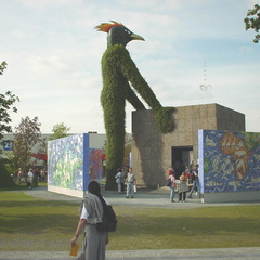 DSC00037
