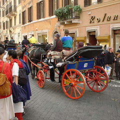 Dsc00019a