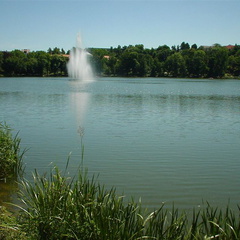 DSC00008