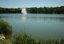 DSC00008