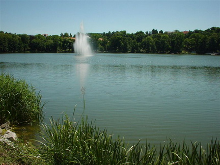 DSC00008