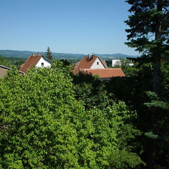 DSC00032