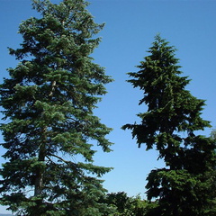 DSC00033