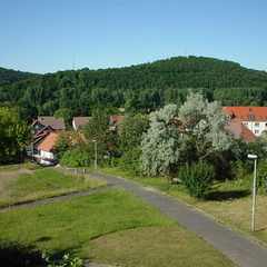 DSC00049