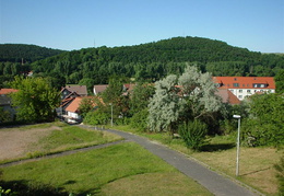 DSC00049