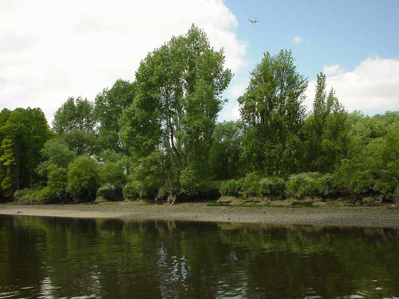 DSC00126