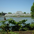 DSC00003