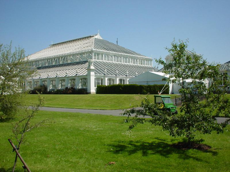 DSC00010.JPG