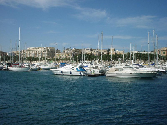 DSC00204
