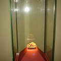 DSC00017