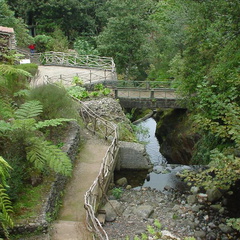 DSC00040