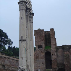 DSC01345