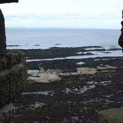 DSC00632