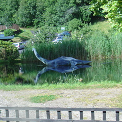 DSC00820
