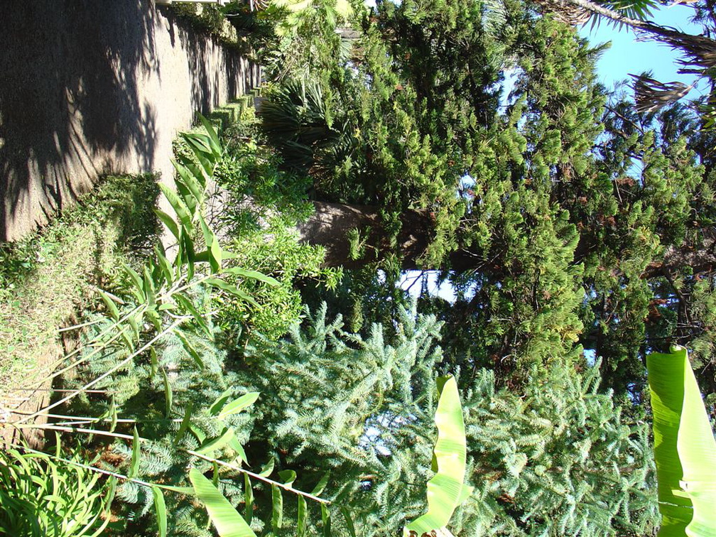 DSC01980