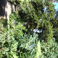DSC01980
