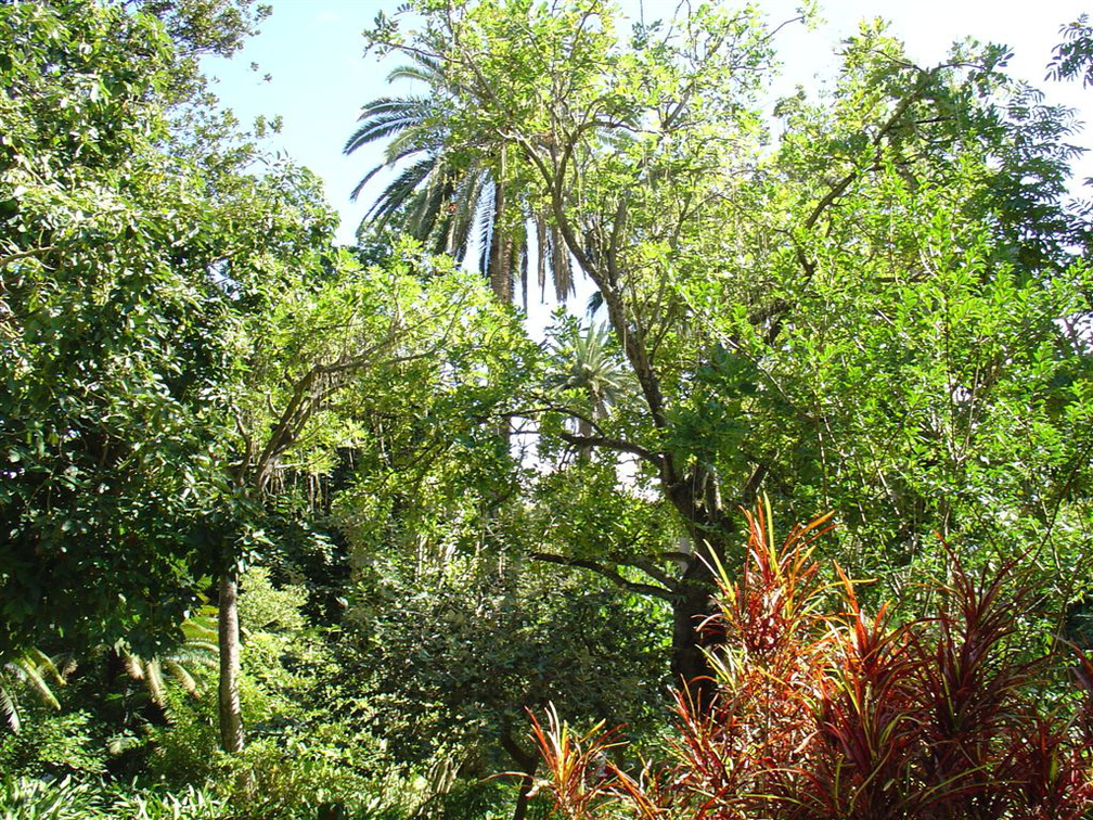 DSC01984