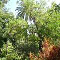 DSC01984