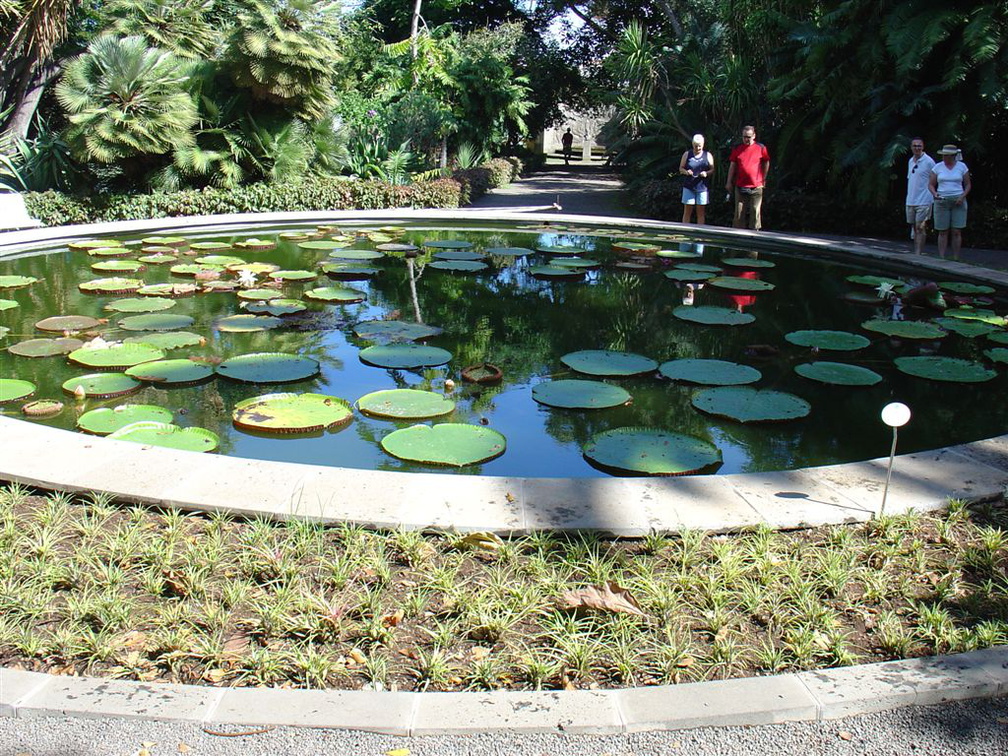 DSC01985