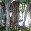 DSC01989