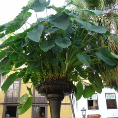 DSC02108