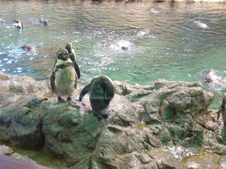 DSC02049