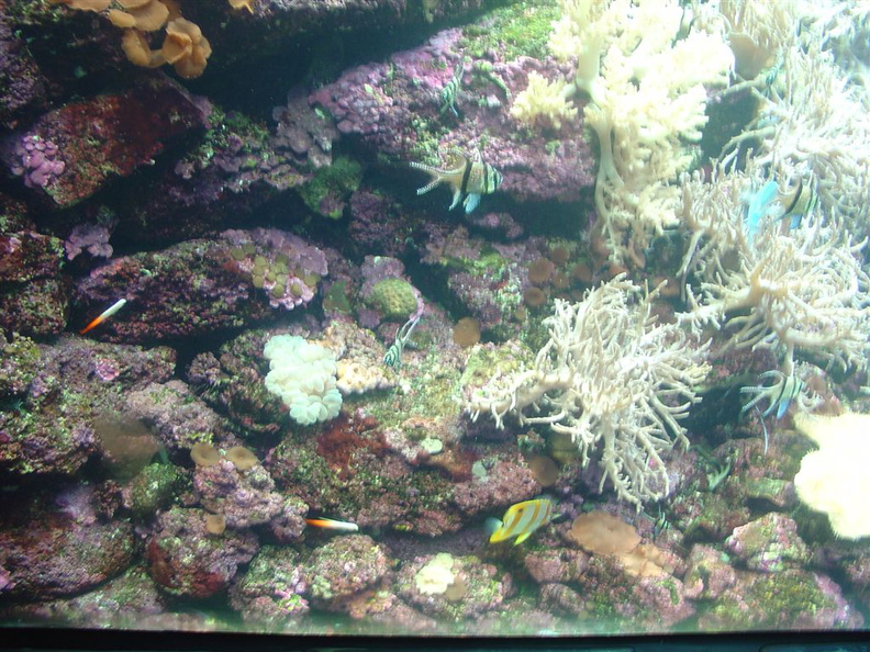 DSC02056