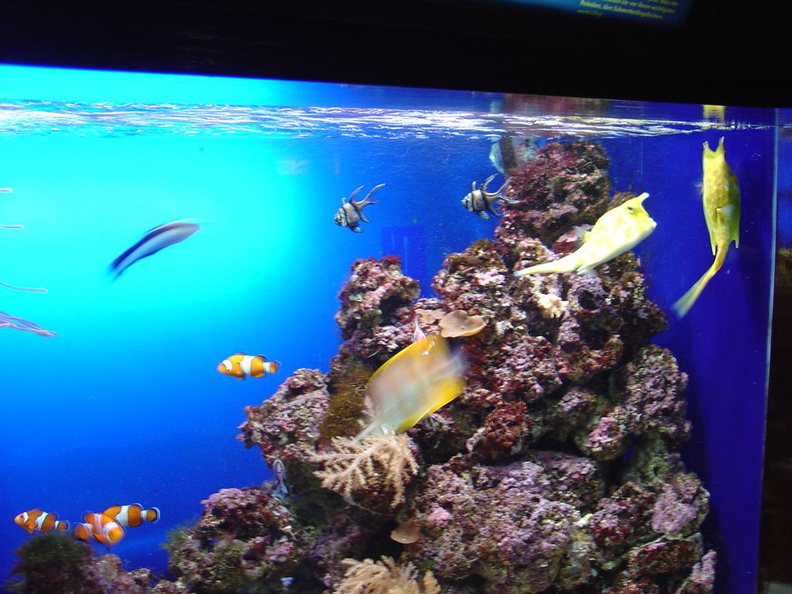 DSC02060
