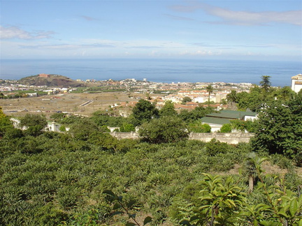 DSC02024