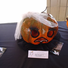 DSC02077