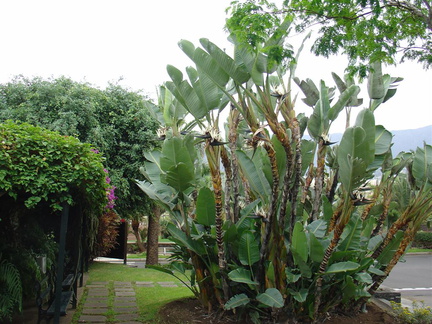 DSC02255