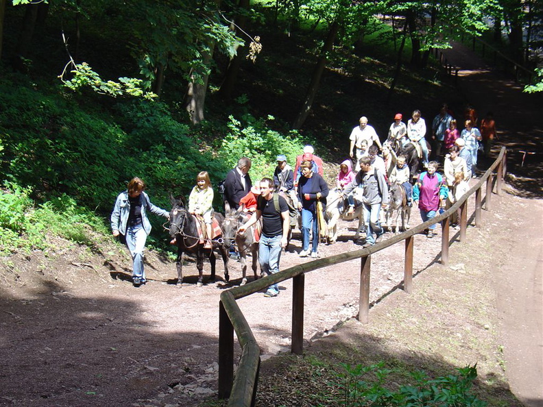 DSC02492.JPG