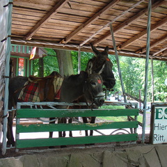 DSC02493