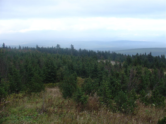 DSC03345