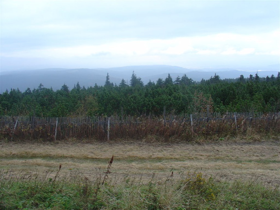DSC03346