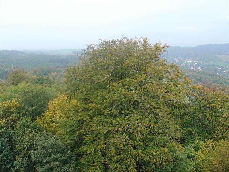 DSC03365.JPG