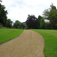 DSC02563