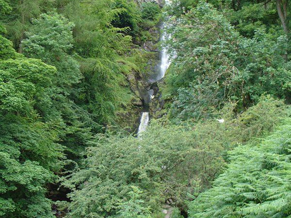 DSC02584