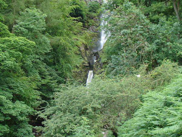 DSC02584