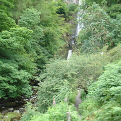DSC02586