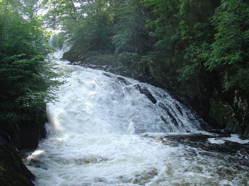 DSC02637