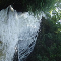 DSC02640