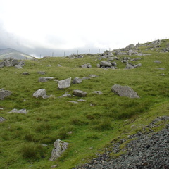 DSC02683