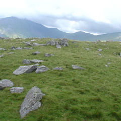 DSC02684