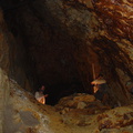 DSC02727