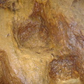 DSC02732