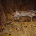 DSC02733